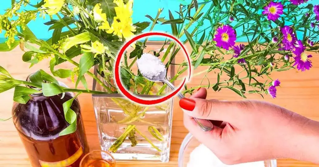 O truque dos floristas para manter as flores em vasos por mais tempo ...